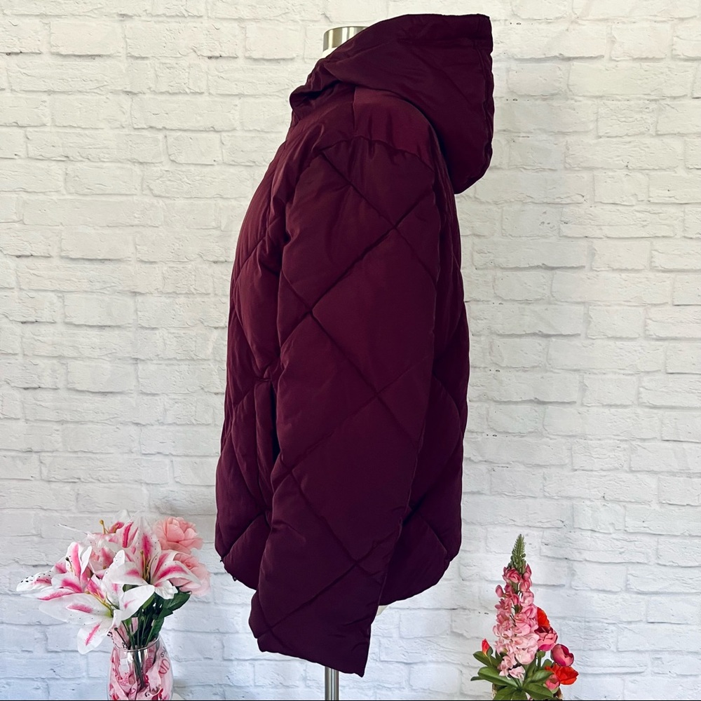 ASOS Quilted Puffer Jacket - Picture 7 of 16